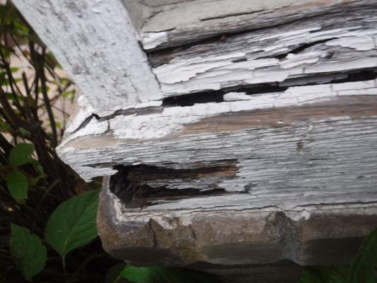 Wood rot repairs are usually necessary as part of the prep work