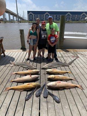 Red drums and sharks and some other little fish.