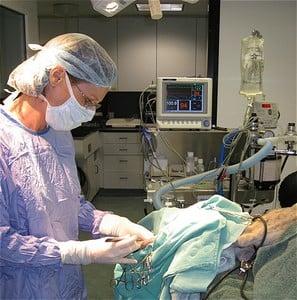 Dr. Karen Perry doing surgery