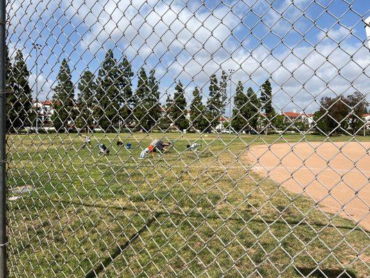 Baseball FUN practice