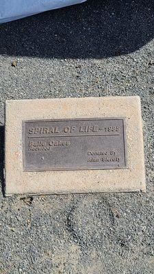 Spiral of Life Plaque  03-19-2022