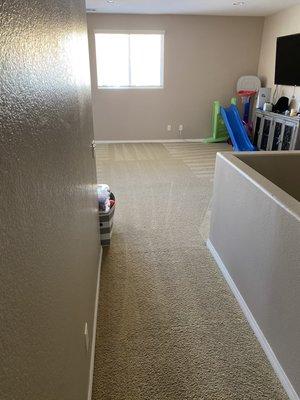 Carpet cleaning