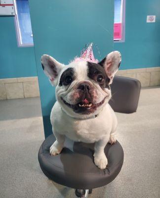 Birthday boy with his hat