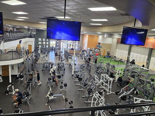 View from the treadmill.