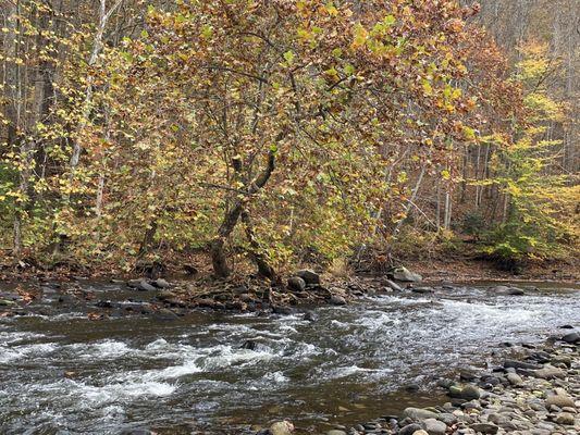 Great river shot! Fall colors!! This state is beautiful!!