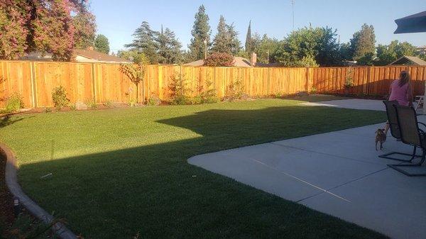 After everything was done. Concrete patio, fully automated sprinkler and and drip systems,new sod & plants all the way around the house