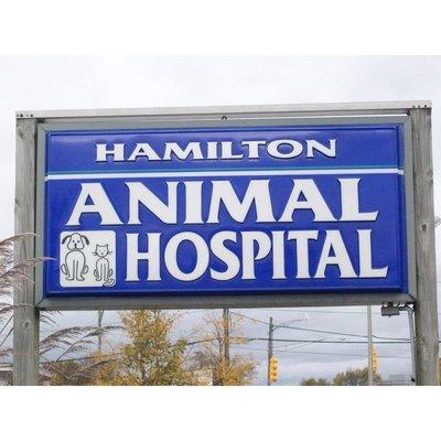 Hamilton Animal Hospital