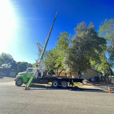 Redding Tree Service Inc. Since 1980 - Second Generation Tree Service - Call Us For A Free Estimate 530-241-1199