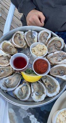 Oysters