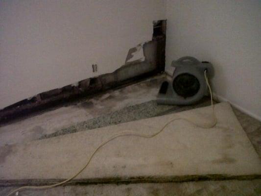 A+ Carpet Cleaning & Restoration