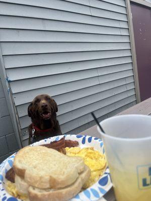 Breakfast with my dog  outside on a beautiful day great good and great service , LOVE this place