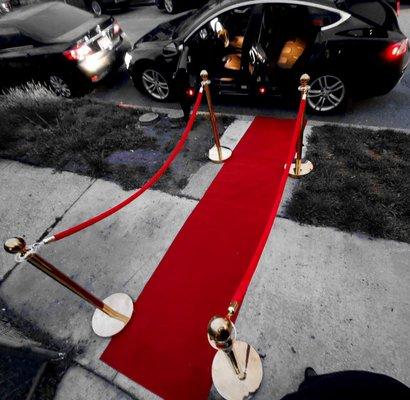 Red Carpet Affair- Tesla S