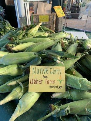 The BEST sweet corn!