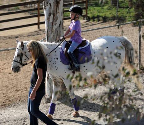 Willow Creek Stables