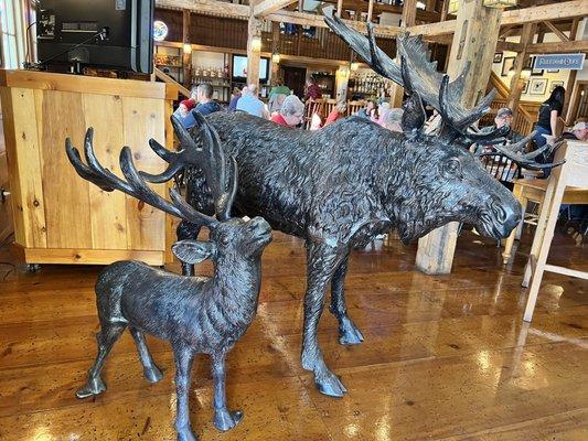 Moose Greeters