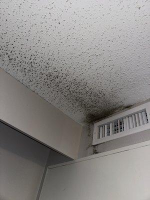 Black mold near AC output vent. Entire suite felt damp.