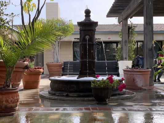 Beautiful and quiet courtyard