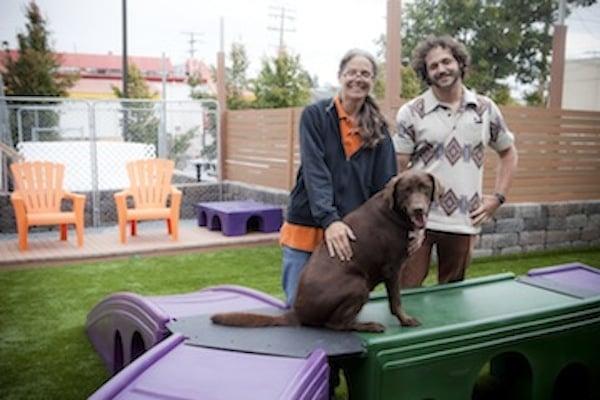 The owners - mother, son, and chocolate lab Charli Brown in the canine playground!