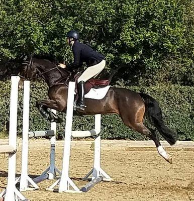 I took this during her show warm up on her horse