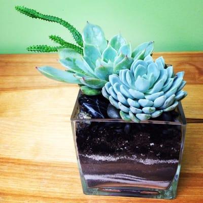 Succulents on a clear vase filled with layered sand