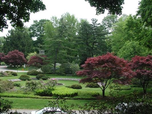 Asa Gray Garden, located near our main entrance.