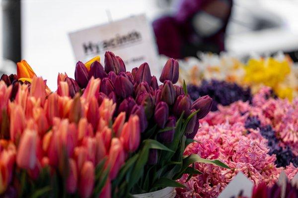 Pike Place Market - Seattle, WA