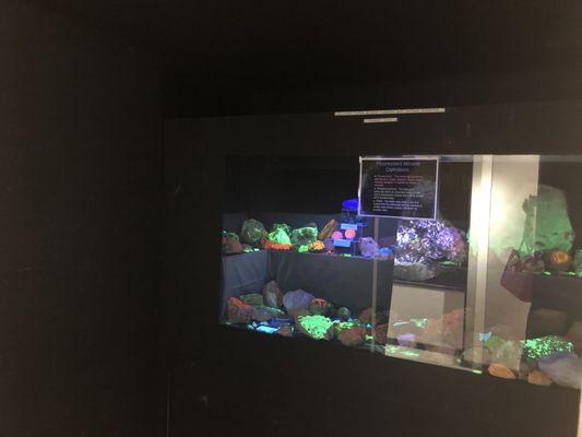 Fluorescent Minerals Darkroom