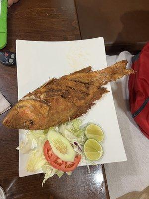 Fried red snapper