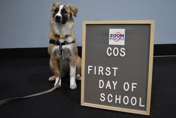 First day of Obedience class!