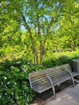 Elizabeth Caruthers Park