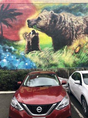 Thar be bears  over my rental car now!