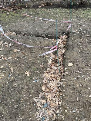 Trench dug and left for months with caution tape