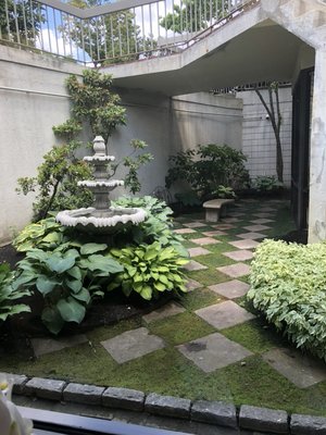 Garden at the spa