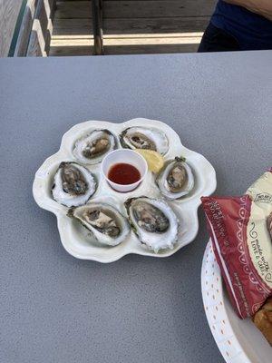 Oysters