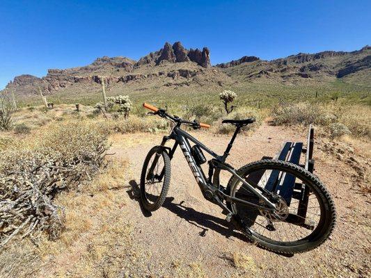 On the Coyote trail in Gold Canyon.