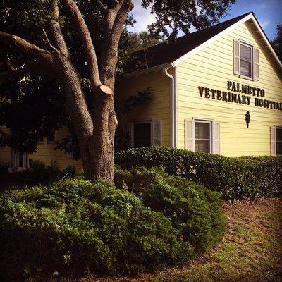 Palmetto Veterinary Hospital