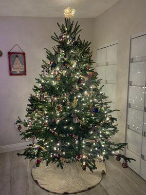 6-7 foot tree