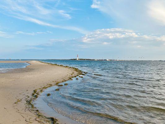 Just minutes from Long Beach Island and Island Beach State Park.