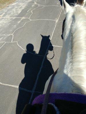 Me and my 20 yr old horse Silver