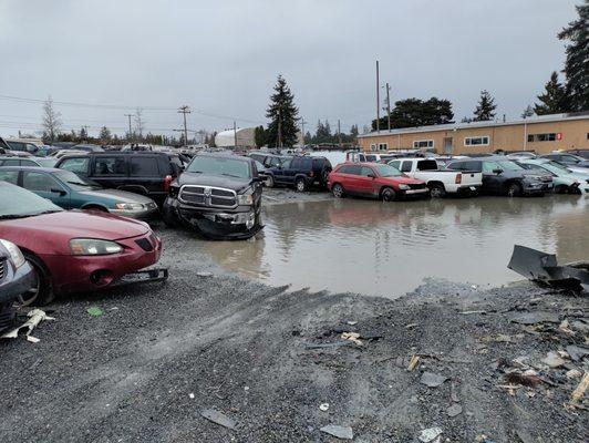 Lincoln Towing Aurora Ave