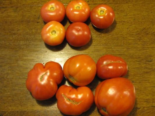 Farmers market tomato $5 (top) vs Srybny Farm tomato $7.85 (bottom)