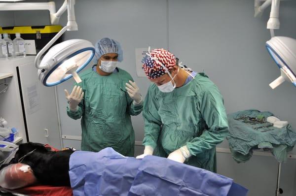 Dr. Whalen performs surgery on an injured pet.