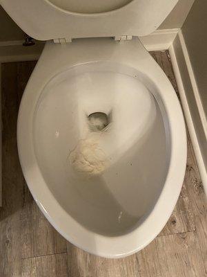 Toilet clogged