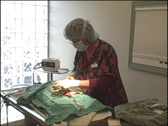 Dr. Ann in Surgery