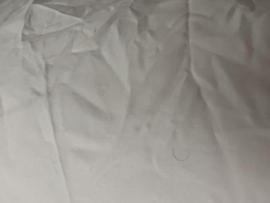 Hair on pillow case