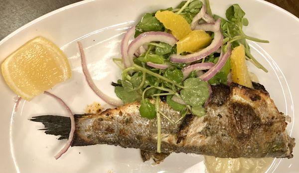 Orate (roasted sea bream, golden quinoa, creamy anchovy, watercress salad w/orange & onion) slightly under flavored