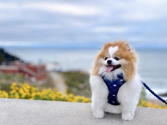 Lands End Lookout