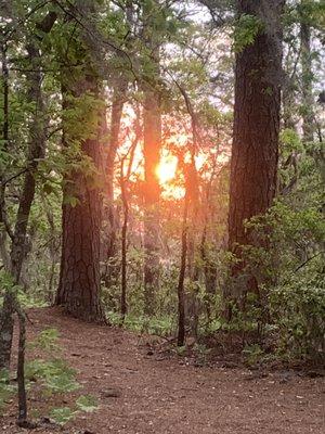 Evening walk with family