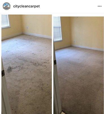 Carpet Cleaning