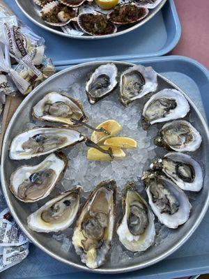 dozen raw oysters